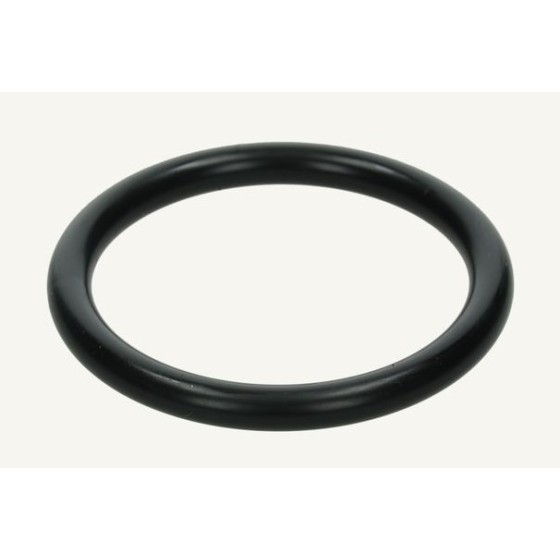 192.168.1.100SistemiESOLVERImmaginiparts510207.jpg O-ring