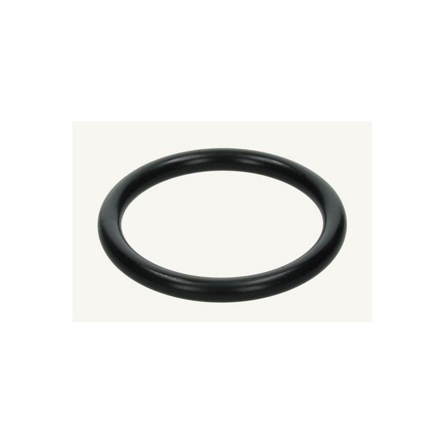 192.168.1.100SistemiESOLVERImmaginiparts510207.jpg O-ring