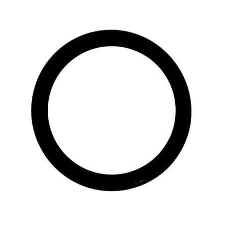 O-ring