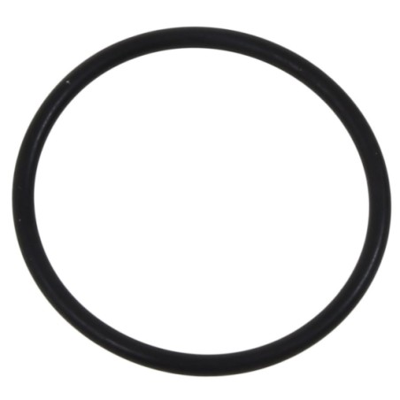 O-ring