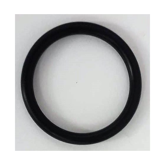 192.168.1.100SISTEMIESOLVERImmaginiparts167266.jpg O-ring